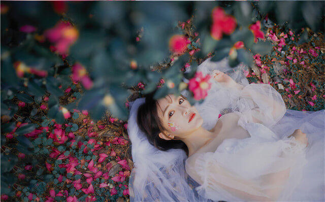 松树会开花吗？原来秘密在这里！