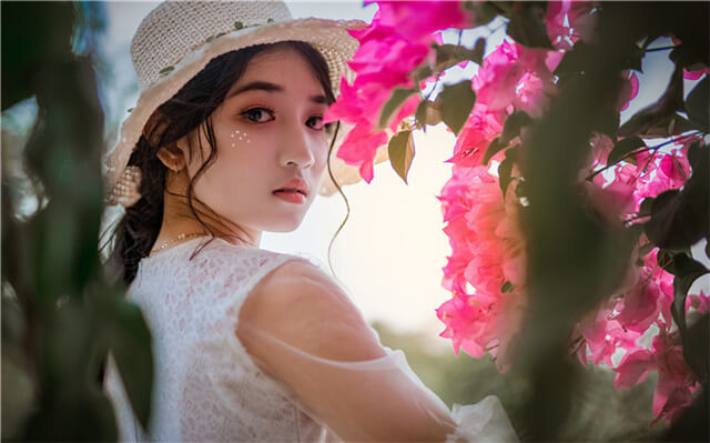 探索百合花之美，这些特点让你爱不释手-默樊博客